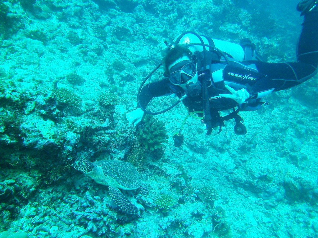 Underwater Dive Time Me and the Turtle