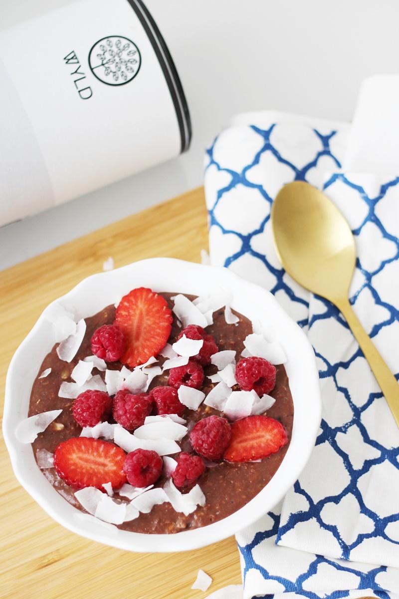 Protein Chocolate Porridge Recipe 5